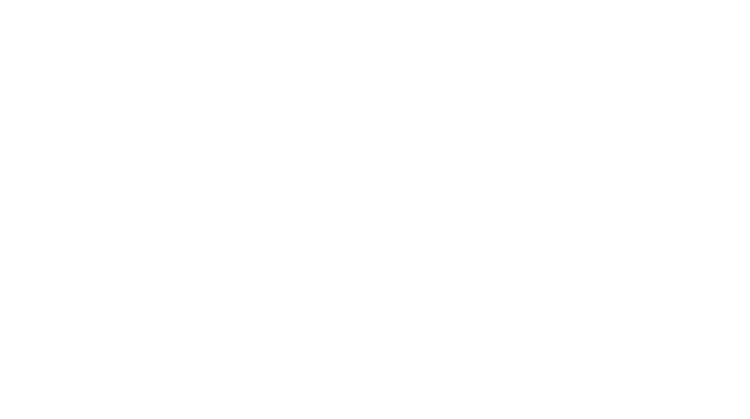 模様